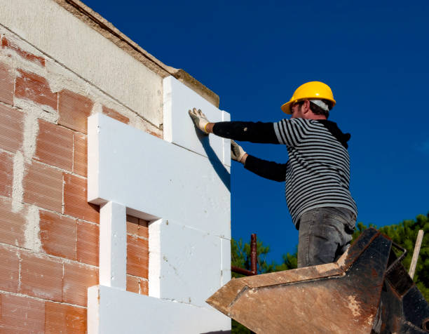 Best Insulation for New Construction  in Eaton Rapids, MI