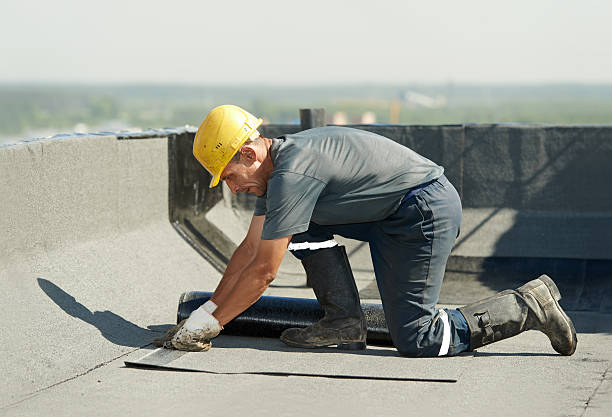 Best Insulation Removal  in Eaton Rapids, MI