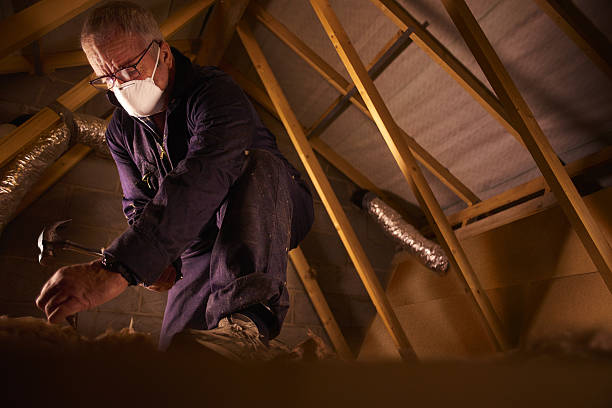 Best Blown-in Insulation  in Eaton Rapids, MI